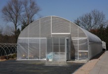 Maliny i jeżyny z laboratorium in vitro