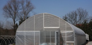 Maliny i jeżyny z laboratorium in vitro