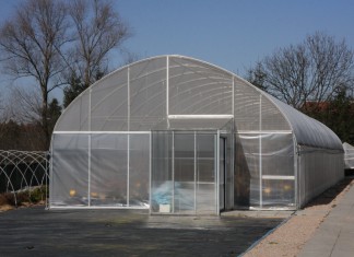 Maliny i jeżyny z laboratorium in vitro