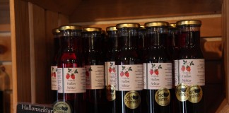 BerryTech 2014 – tym razem w Szwecji