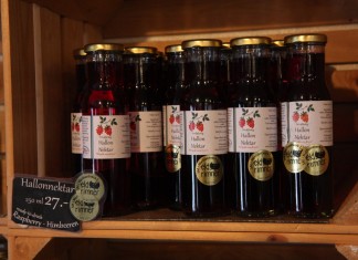 BerryTech 2014 – tym razem w Szwecji