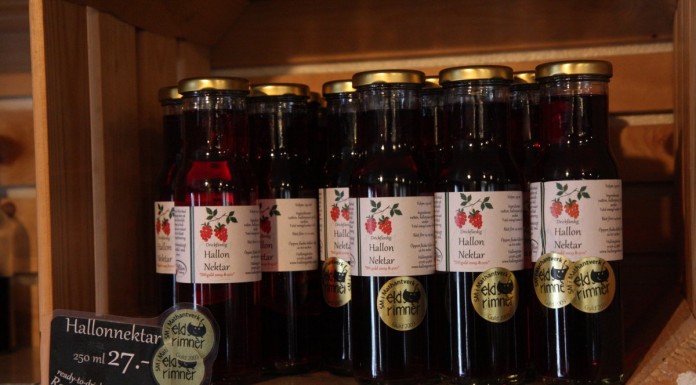 BerryTech 2014 – tym razem w Szwecji