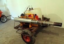 Zaczyna się kwitnienie