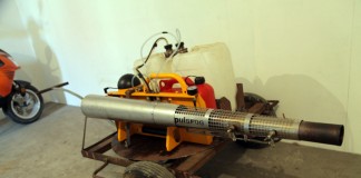 Zaczyna się kwitnienie