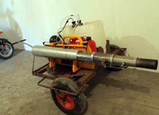 Zaczyna się kwitnienie