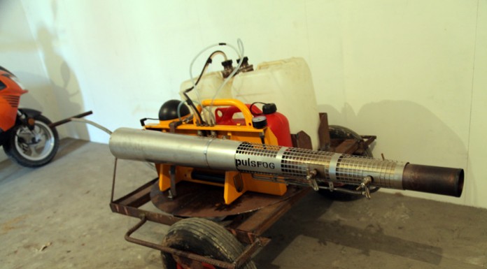 Zaczyna się kwitnienie