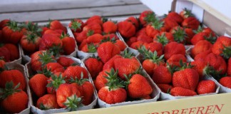 Dzień odmiany Flair w Niemczech