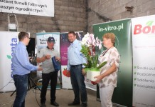 Finał Malinowego Factory