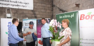 Finał Malinowego Factory