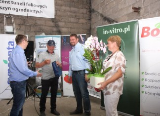 Finał Malinowego Factory