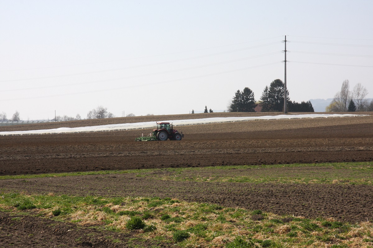 spowolnione_dzialanie