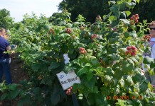 A miało być tak pięknie…