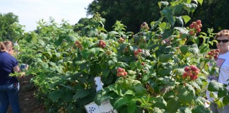 A miało być tak pięknie…