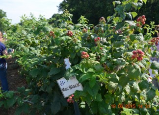 A miało być tak pięknie…