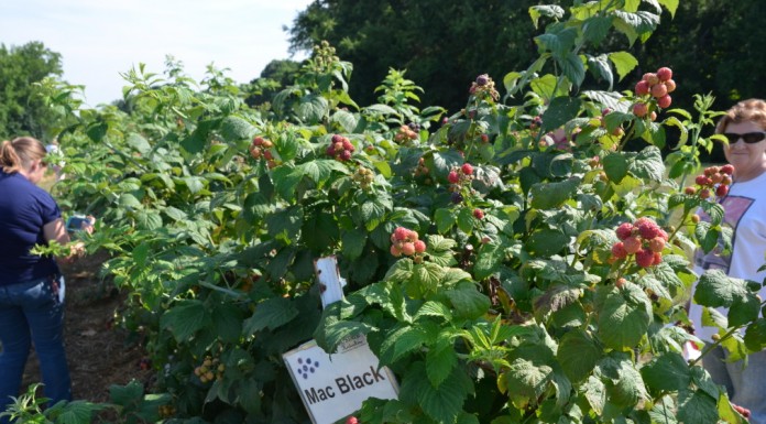 A miało być tak pięknie…