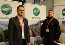 O jagodowych w międzynarodowym gronie