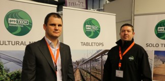 O jagodowych w międzynarodowym gronie