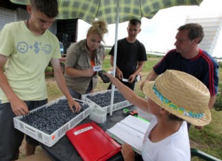 Gospodarstwo pod kontrolą