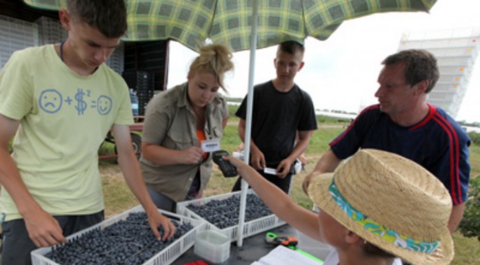 Gospodarstwo pod kontrolą