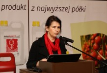 Światowe trendy i technologie w uprawie truskawek