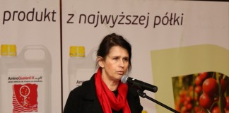 Światowe trendy i technologie w uprawie truskawek