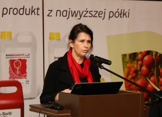 Światowe trendy i technologie w uprawie truskawek