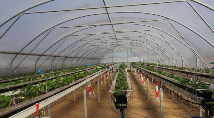 Tunelowy Dzień w Auweiler