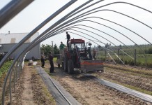 Budowa tunelu pod uprawę malin na MF