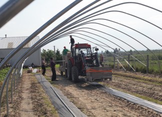 Budowa tunelu pod uprawę malin na MF