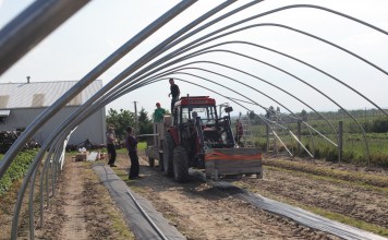 Budowa tunelu pod uprawę malin na MF