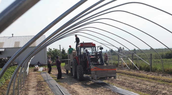 Budowa tunelu pod uprawę malin na MF