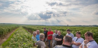 Malinowe zalecenia z regionu Lubelszczyzny