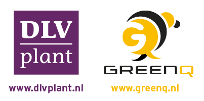 dlv_gree_logo