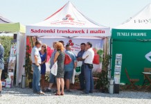 Malinowe Factory – finał pierwszego sezonu