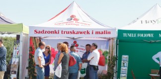 Malinowe Factory – finał pierwszego sezonu