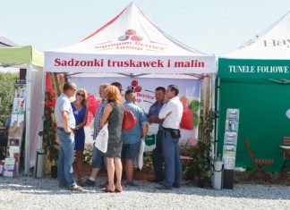 Malinowe Factory – finał pierwszego sezonu