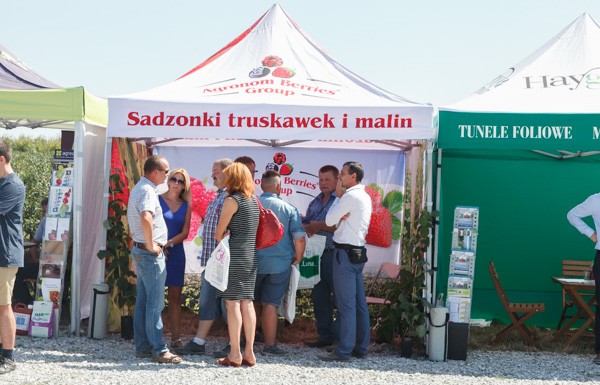 Malinowe Factory – finał pierwszego sezonu