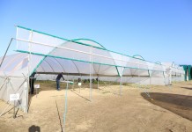 Specjalistyczne tunele dla różnych upraw
