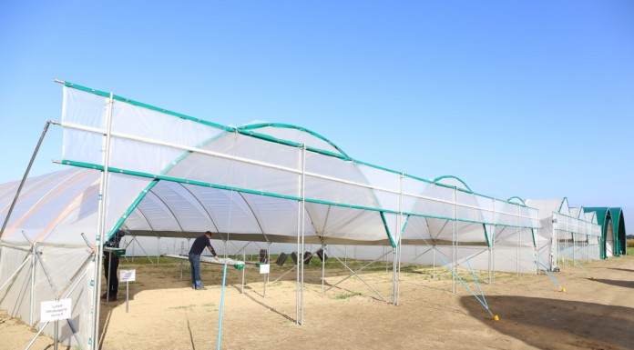 Specjalistyczne tunele dla różnych upraw