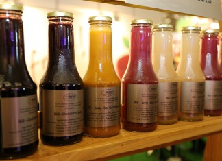 Wsparcie inwestycji w przetwarzanie produktów rolnych, obrót nimi lub ich rozwój