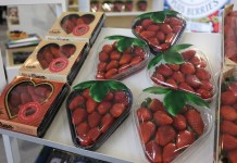 Andaluzja wyeksportowała 220 476 ton truskawek w minionym sezonie