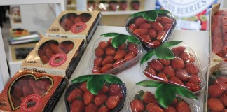 Andaluzja wyeksportowała 220 476 ton truskawek w minionym sezonie