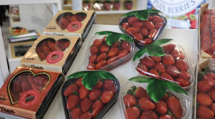 Andaluzja wyeksportowała 220 476 ton truskawek w minionym sezonie
