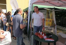 Zalecenia dla odmian powtarzających owocowanie – FILM truskawka, jagodnik