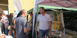 Zalecenia dla odmian powtarzających owocowanie – FILM truskawka, jagodnik