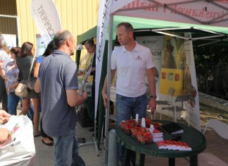 Zalecenia dla odmian powtarzających owocowanie – FILM truskawka, jagodnik