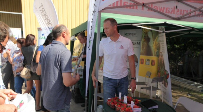 Zalecenia dla odmian powtarzających owocowanie – FILM truskawka, jagodnik