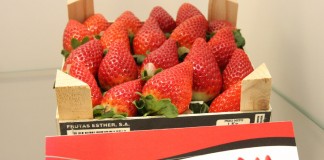 Hiszpańskie truskawki docierają na rynki azjatyckie