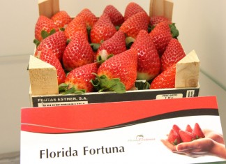 Hiszpańskie truskawki docierają na rynki azjatyckie