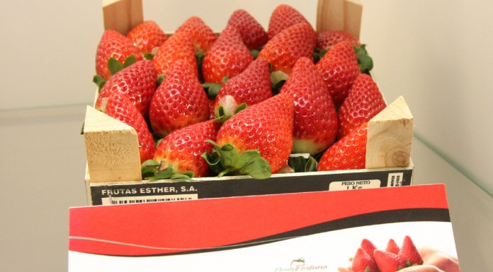 Hiszpańskie truskawki docierają na rynki azjatyckie